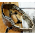 Tissot T0314101105300 Mens Watch Tissot T0314101105300 Mens Watch
